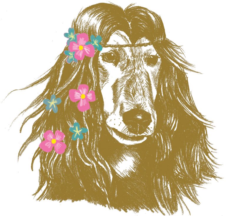 Gezeichneter Hund als Hippie mit Blumen im Haar
